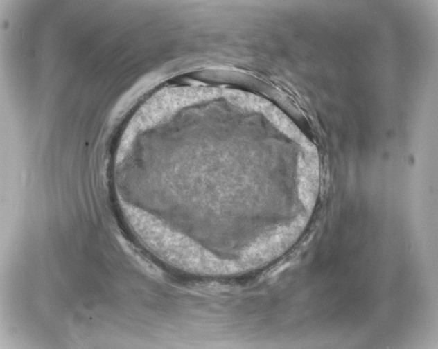 X0000085250197200704092057