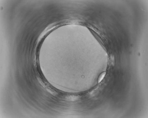 X0000085250198200704092057