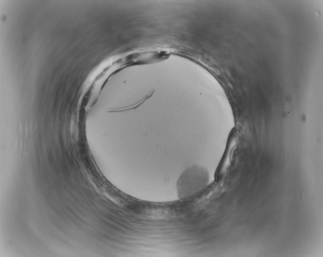 X0000085250200200704092057