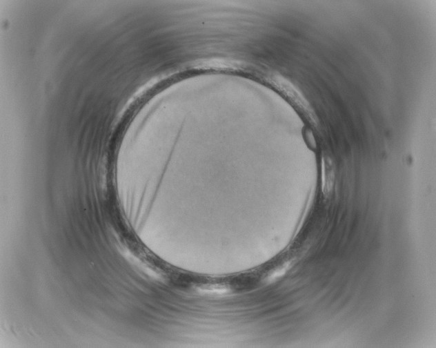 X0000085250204200704092057