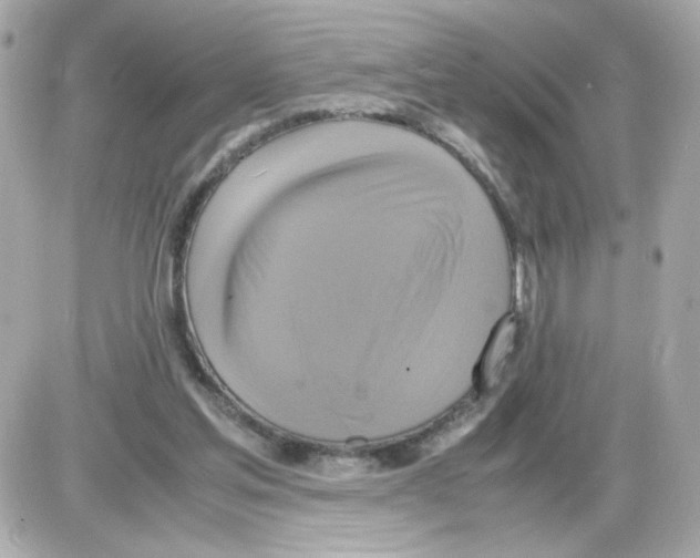 X0000085250205200704092057