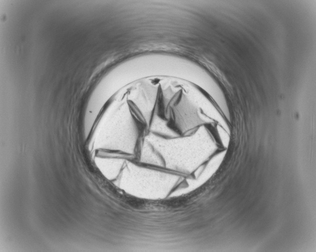 X0000085250207200704092057