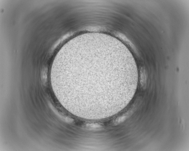 X0000085250208200704092057