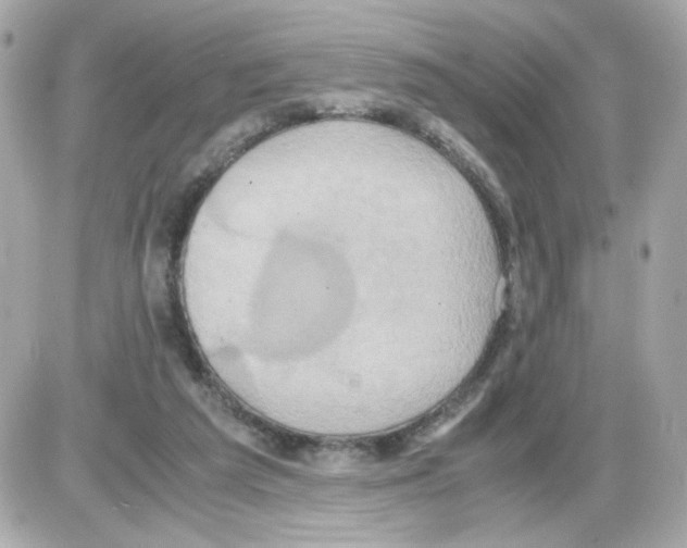 X0000085250209200704092057