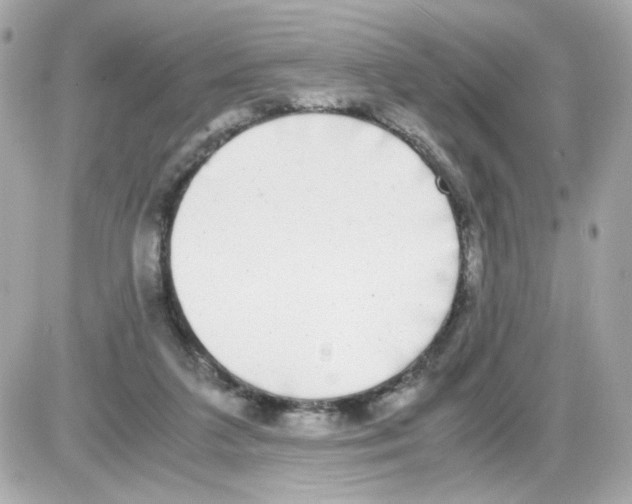 X0000085250211200704092057