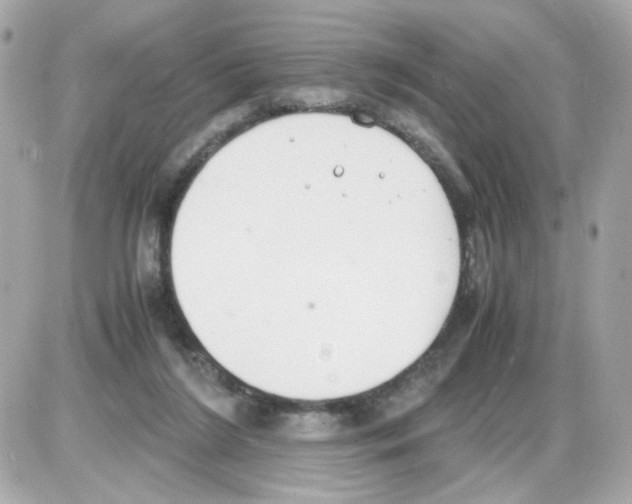 X0000085250212200704092057