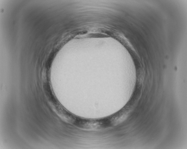 X0000085250213200704092057