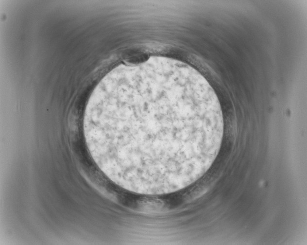 X0000085250215200704092057