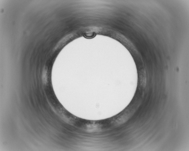 X0000085250216200704092057