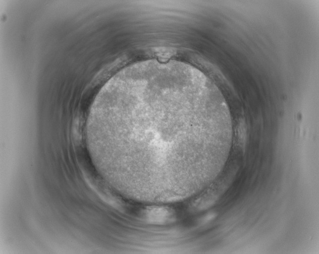 X0000085250218200704092057