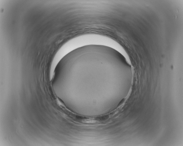 X0000085250219200704092057