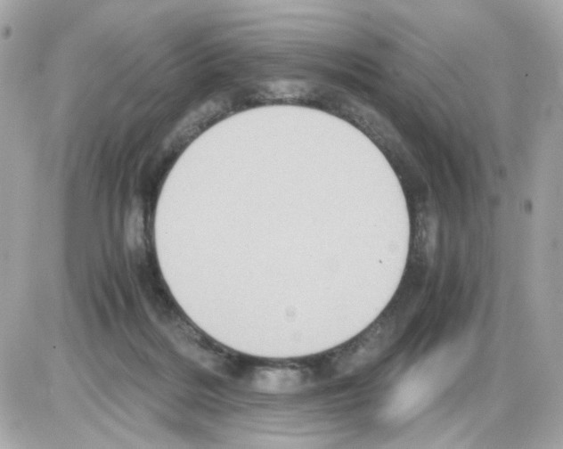 X0000085250220200704092057