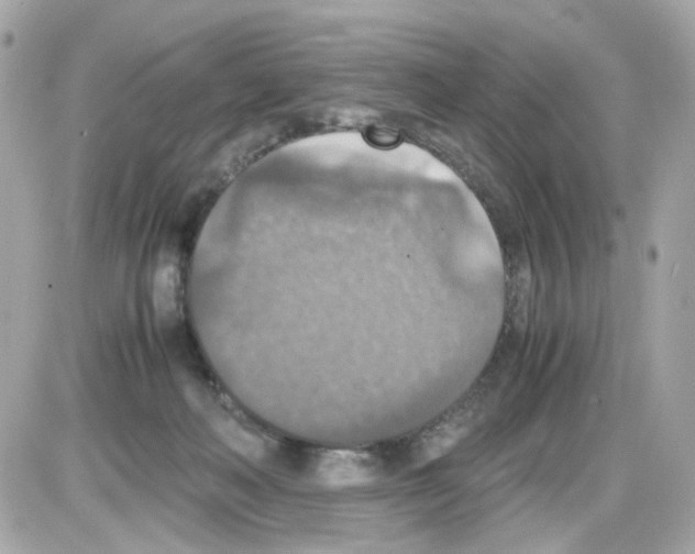 X0000085250222200704092057