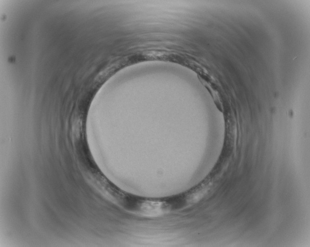 X0000085250227200704092057