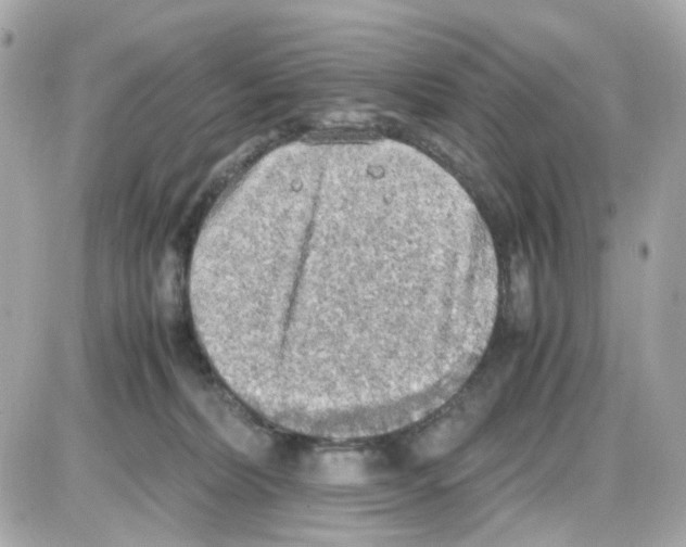 X0000085250228200704092057