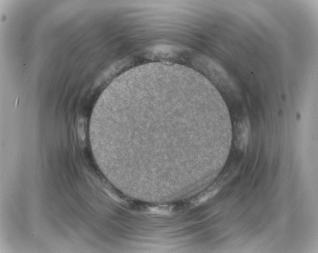 X0000085250232200704092057