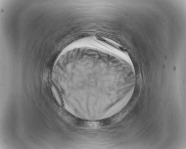 X0000085250233200704092057