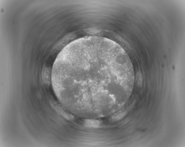 X0000085250234200704092057