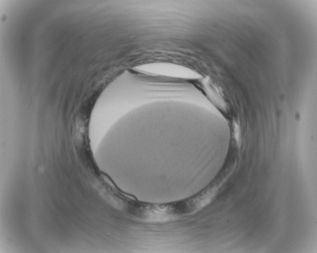 X0000085250235200704092057