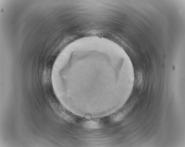 X0000085250236200704092057