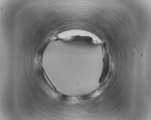 X0000085250239200704092057