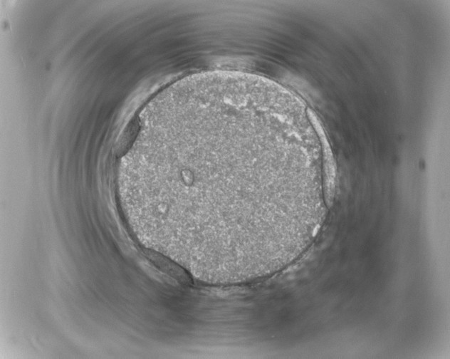 X0000085250241200704092056