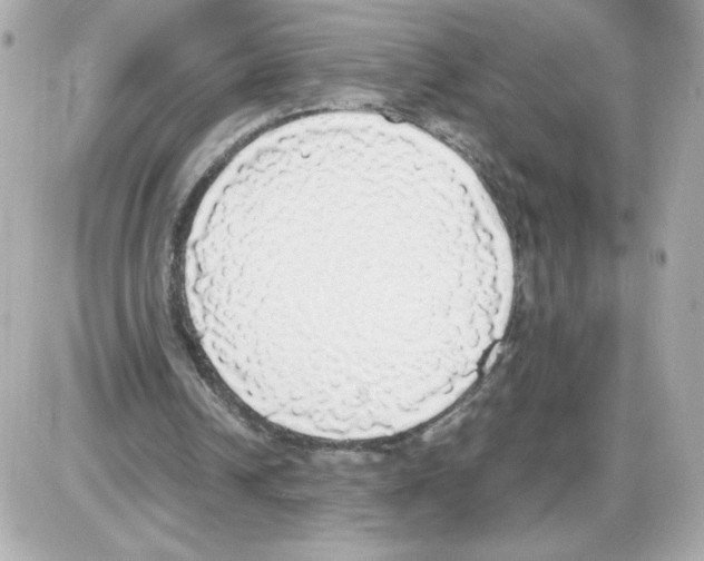 X0000085250242200704092056