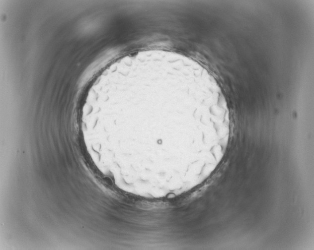 X0000085250245200704092056