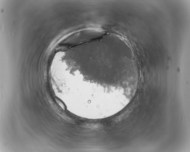 X0000085250247200704092056