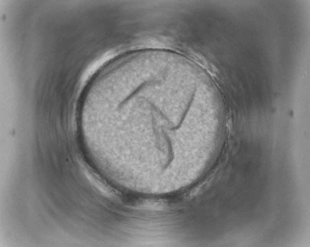 X0000085250248200704092056