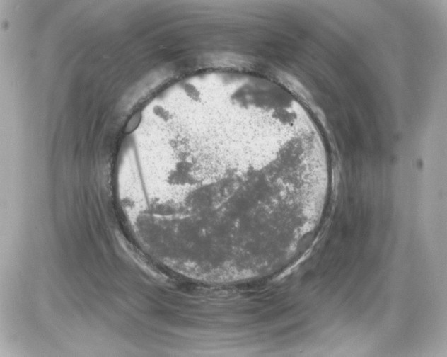 X0000085250249200704092056