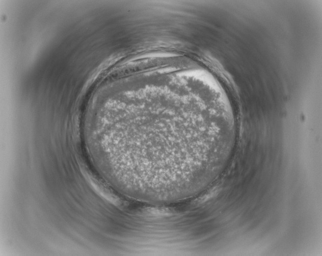 X0000085250250200704092056