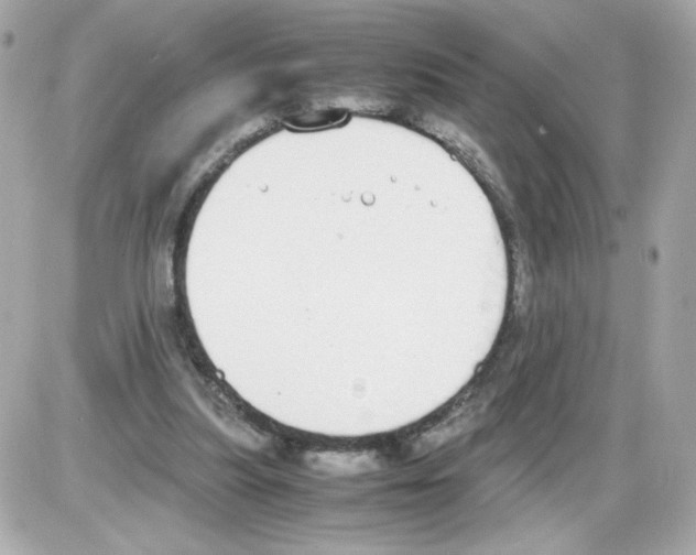 X0000085250251200704092056