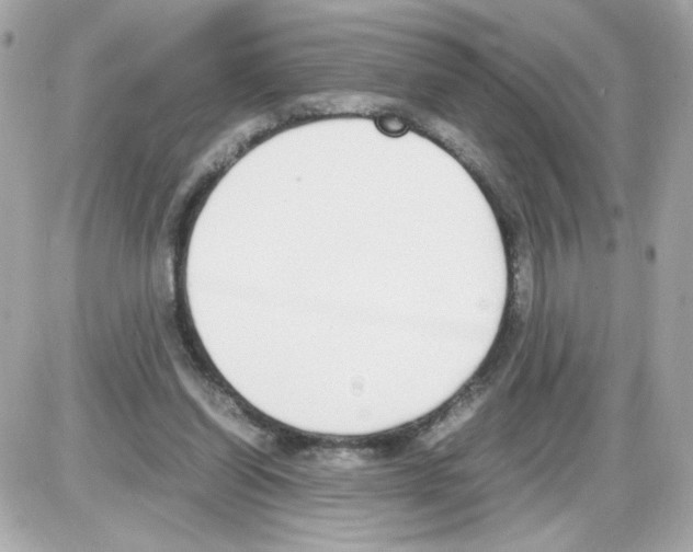 X0000085250254200704092056