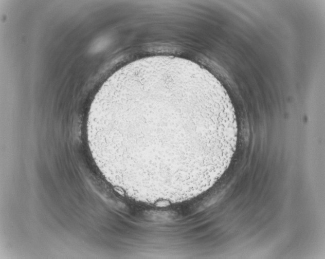 X0000085250255200704092056