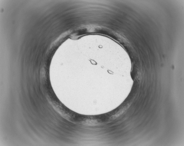 X0000085250256200704092056