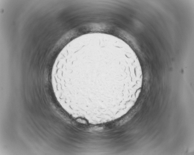 X0000085250257200704092056