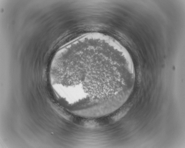 X0000085250258200704092056