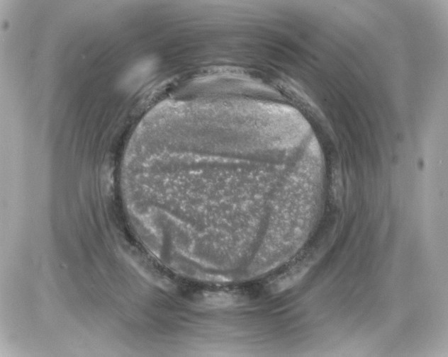 X0000085250259200704092056