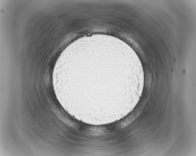 X0000085250261200704092056