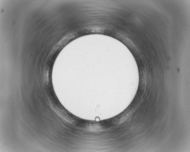 X0000085250262200704092056