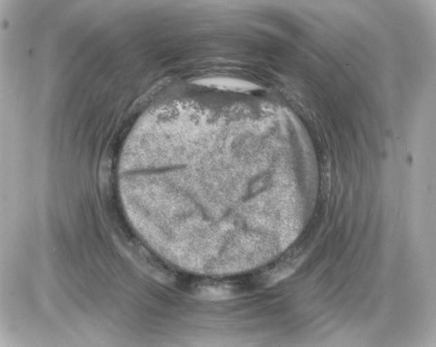 X0000085250263200704092056