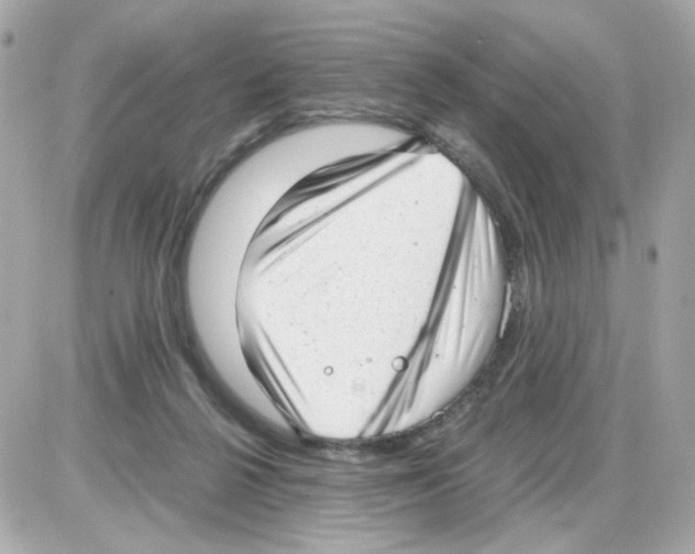 X0000085250264200704092056