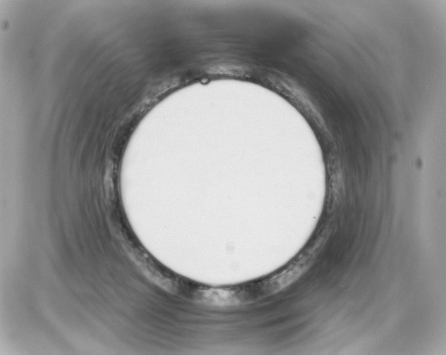 X0000085250265200704092056