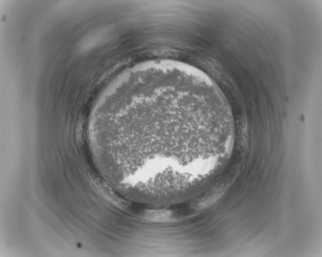 X0000085250266200704092056