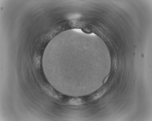 X0000085250271200704092056