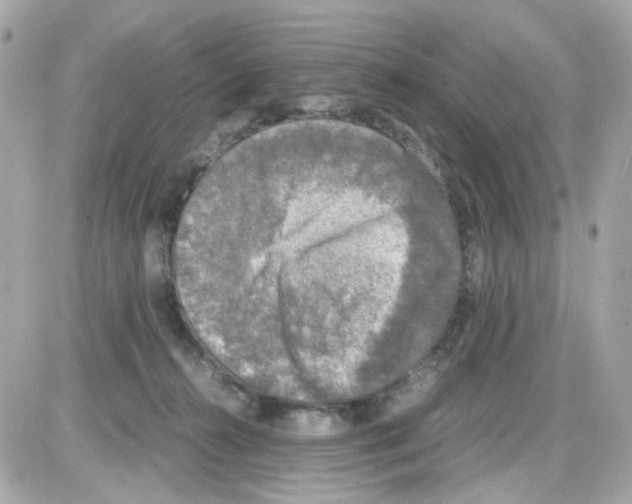 X0000085250272200704092056