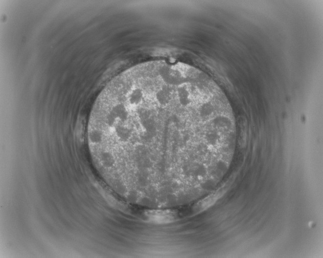 X0000085250273200704092056