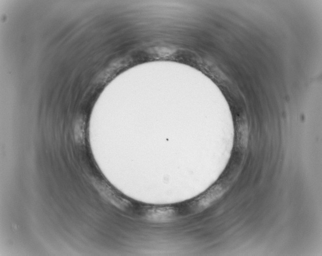 X0000085250274200704092056