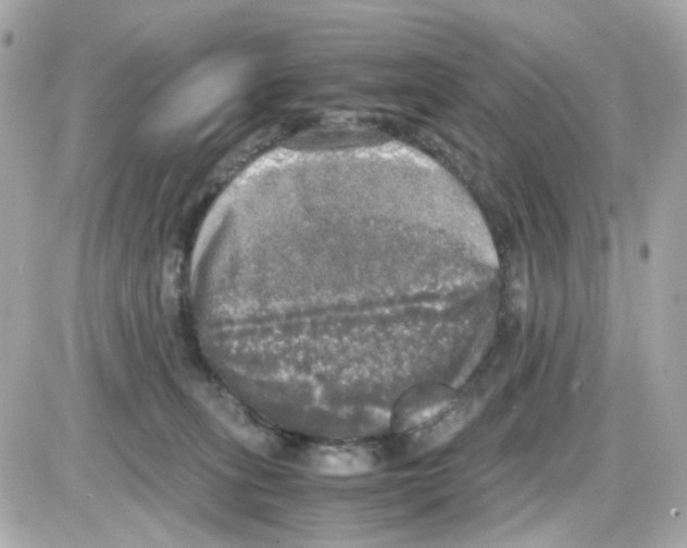 X0000085250275200704092056